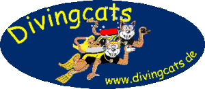 divingcats-logo